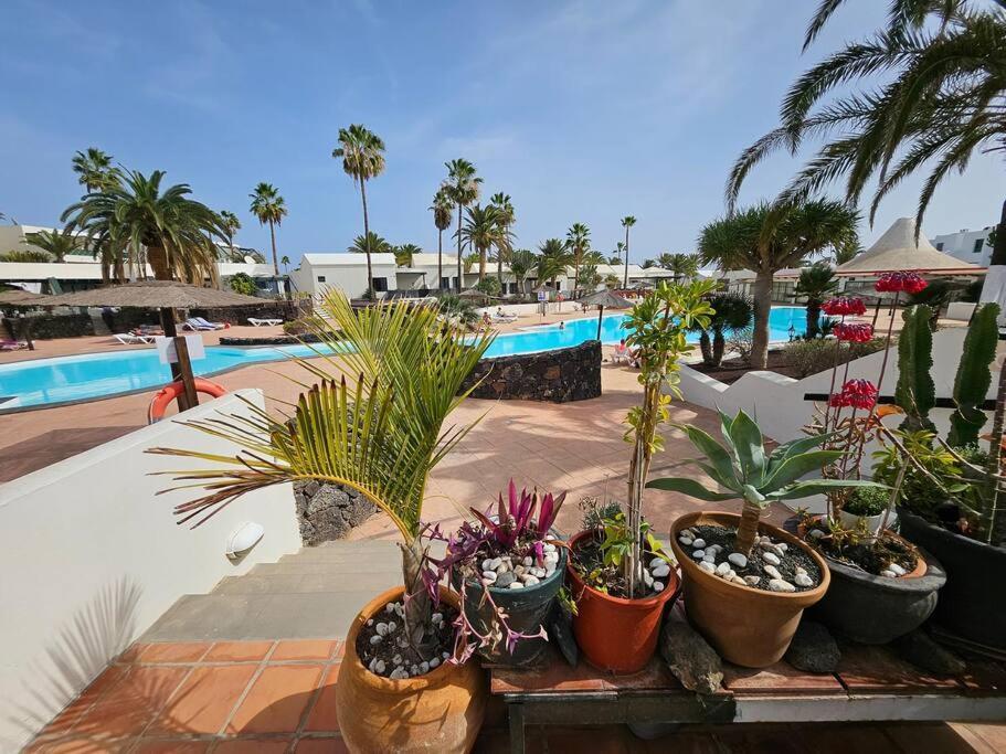 Apartamento Taisa Playa Roca 科斯塔特吉塞 外观 照片